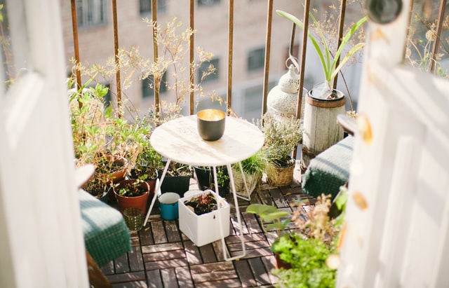 Niezależnie od tego, czy balkon znajduje się na parterze, czy na 10-tym piętrze, najlepsze rośliny na balkon mogą sprawić, że przestrzeń zewnętrzna będzie przytulna i urocza!