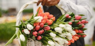 Jak utrzymać świeżość kwiatów ciętych przez długi czas