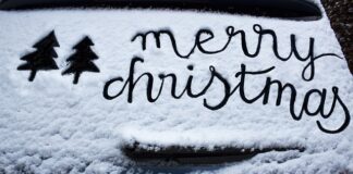 Co potrzeba do otwarcia myjni parowej?