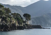 Ile kosztuje wypranie jednego fotela w samochodzie?