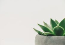 Jak zrobić dekoracje ze sztucznych kwiatów?