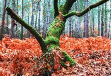 Czego nie zostawiać w samochodzie? Czego nie zostawiać w samochodzie?