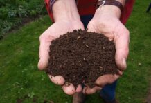 Czy kompost trzeba przesiewać?