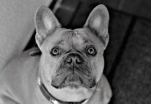 Co postawić w korytarzu?