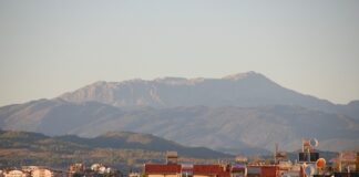 Jaka nagrzewnica olejowa?