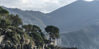 Ile kosztuje wysłanie kurierem roweru?