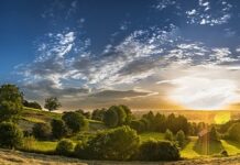 Czy dystanse poprawiają prowadzenie?